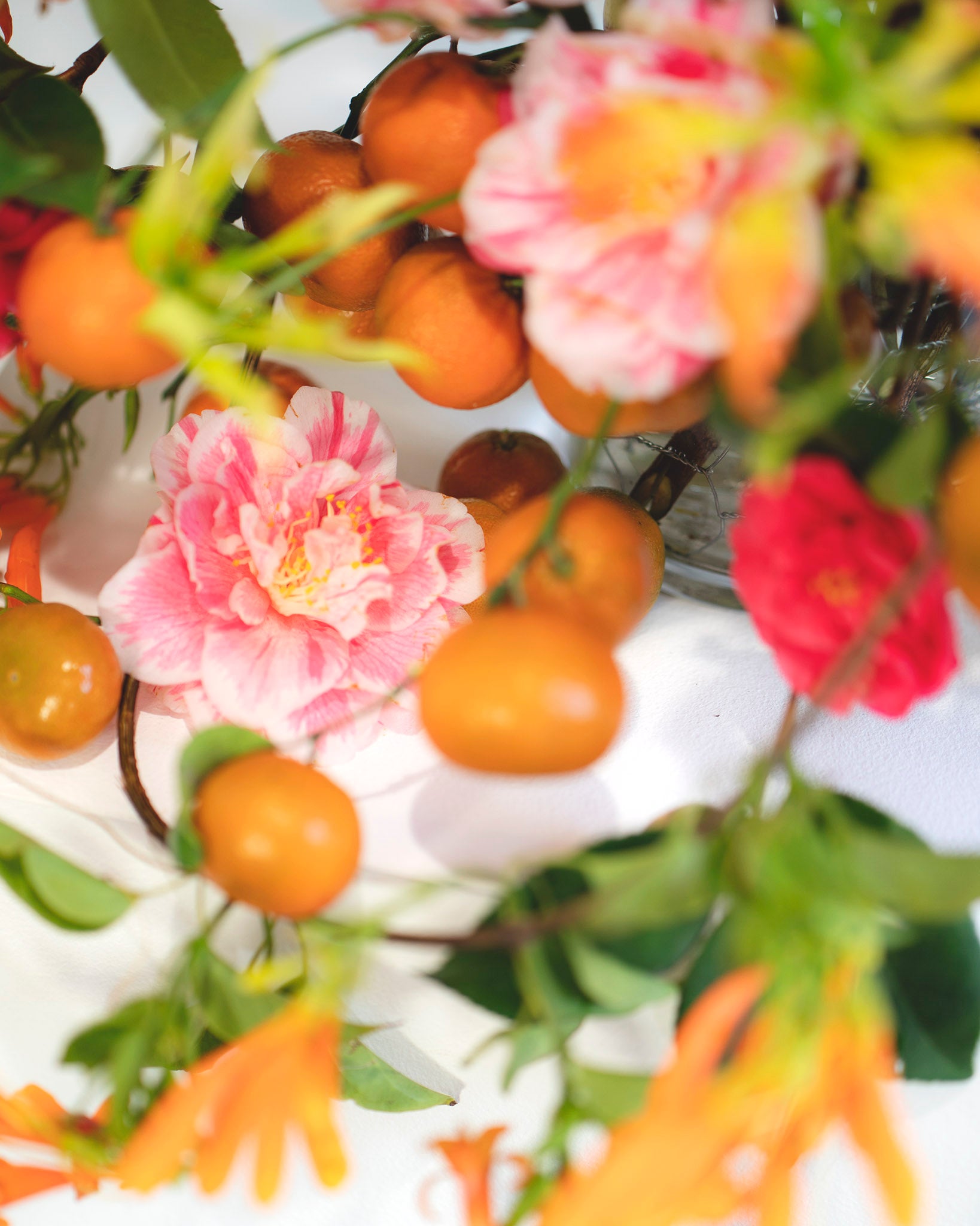 floral arrangement with camellias and tangerines